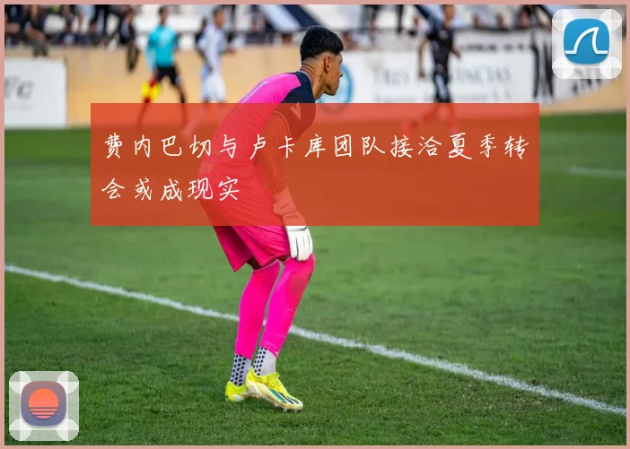 费内巴切与卢卡库团队接洽夏季转会或成现实
